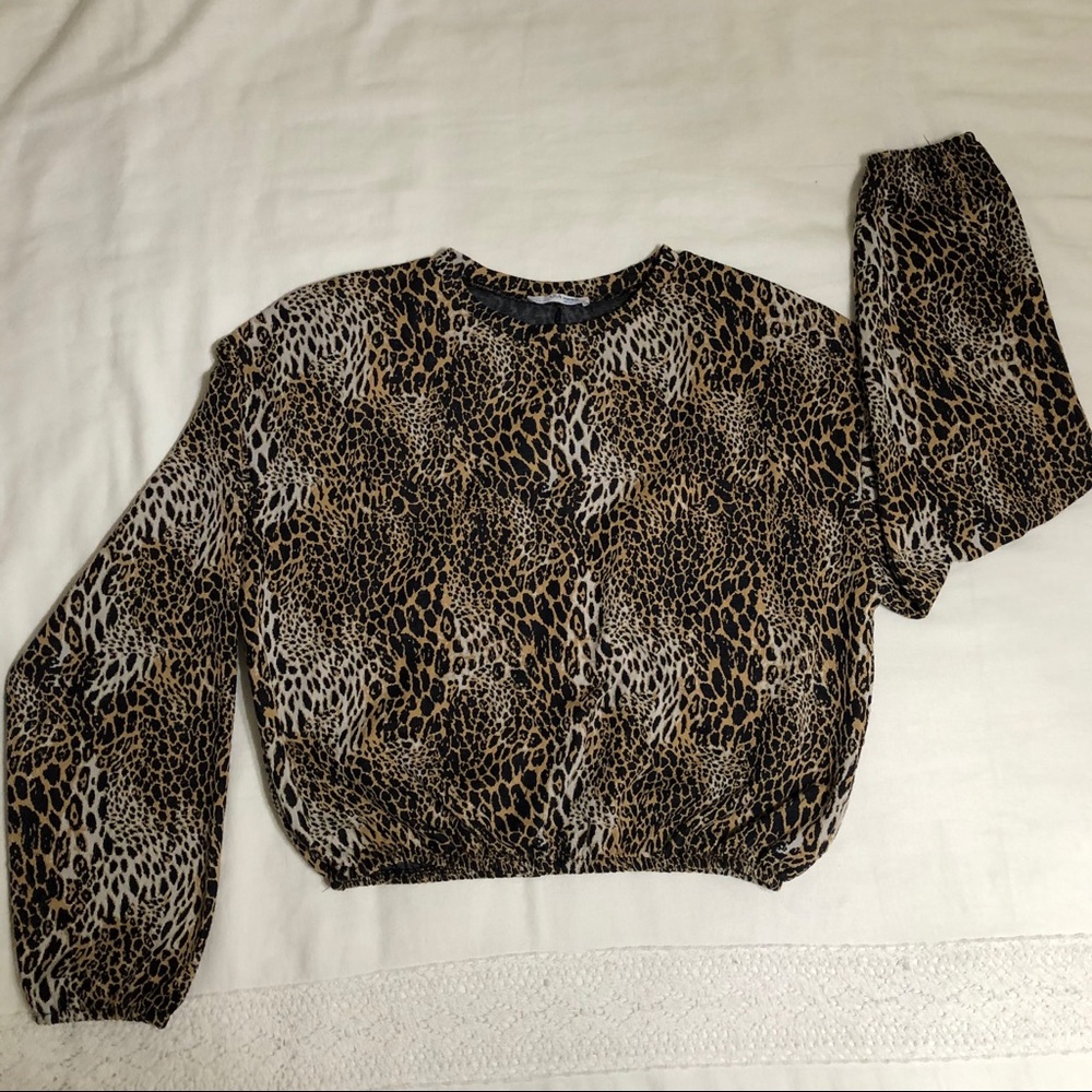 Cropped Zara Cheetah Sweater